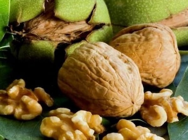 تصویر 1 از خرید و قیمت گردو درجه یک پوست کاغذی تازه تویسرکان